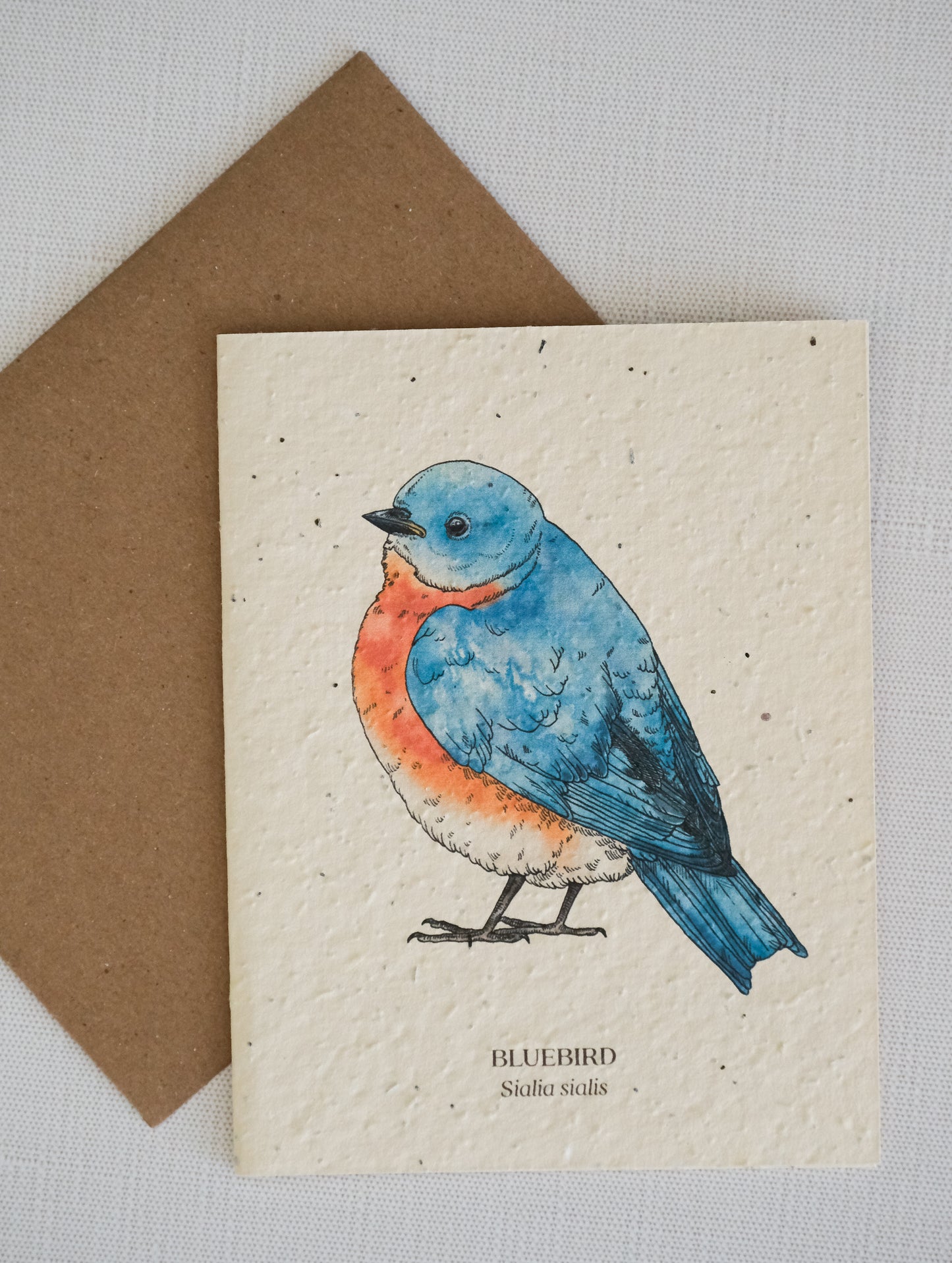 Bluebird Plantable Wildflower Seed Card