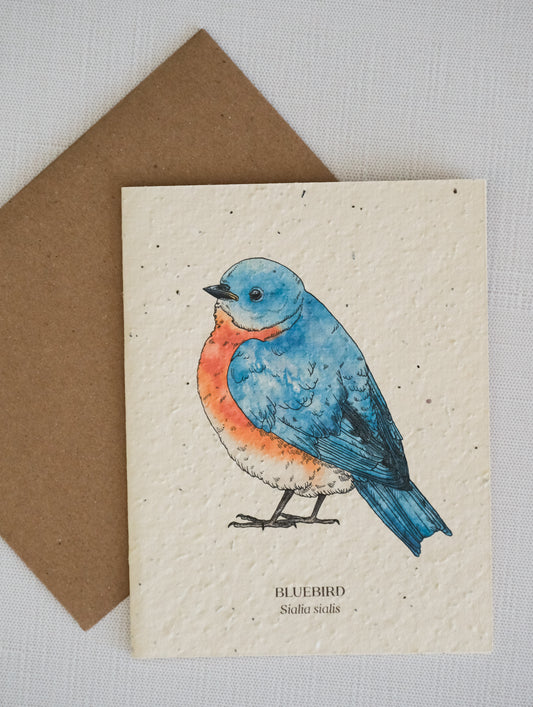 Bluebird Plantable Wildflower Seed Card