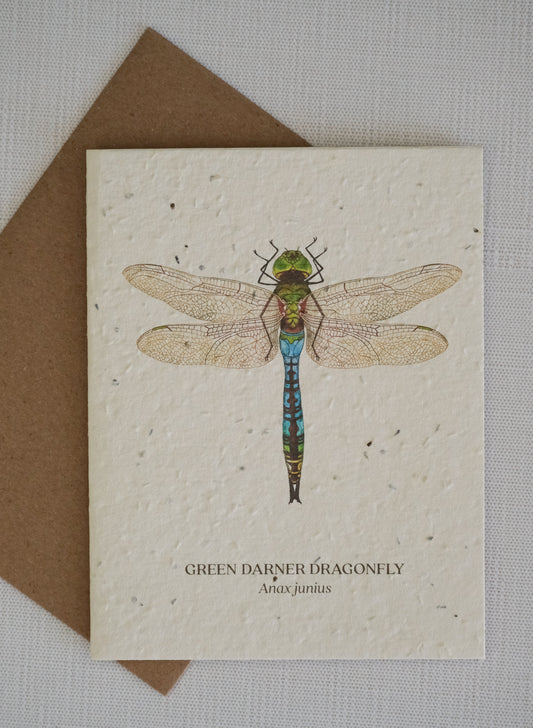 Dragonfly Plantable Wildflower Seed Card