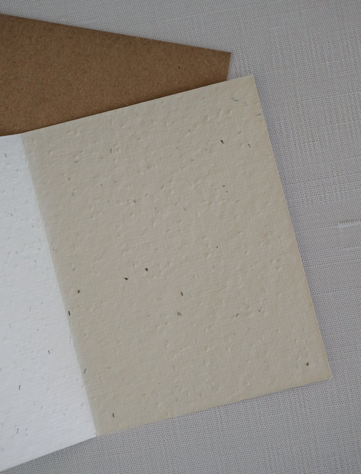 Robin Plantable Herb Seed Card