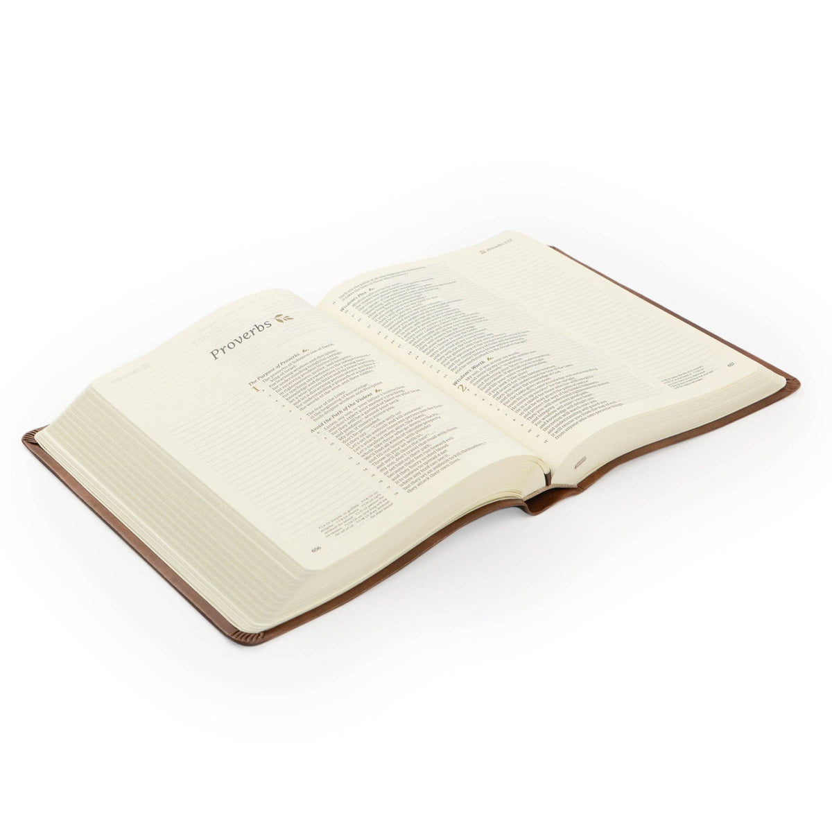 CSB Notetaking Bible: Edinburgh Theme