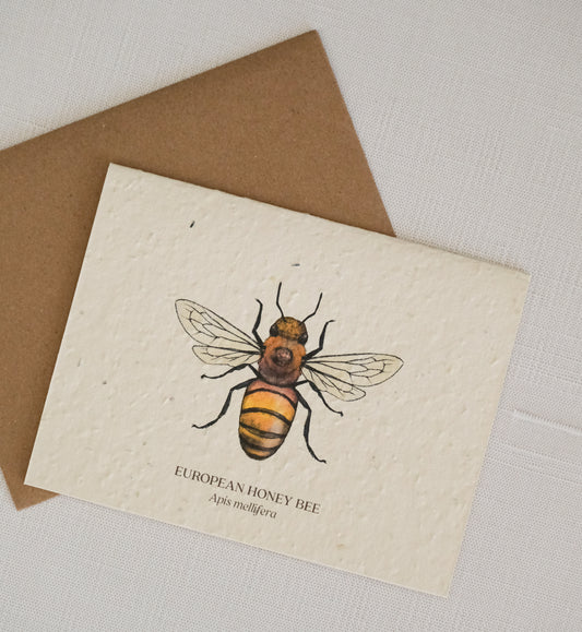 Honey Bee Plantable Wildflower Seed Card