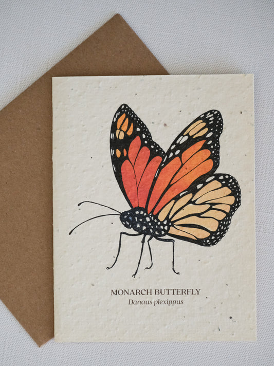 Monarch Plantable Wildflower Seed Card