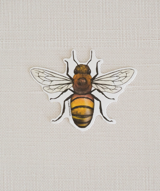 Honey Bee Eco-Sticker